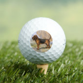 Bloedhond Golfballen (Insitu Shirt)