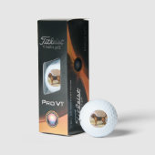 Bloedhond Golfballen (Verpakking)