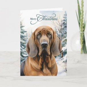 Bloedhond Hond Winter Bos Bosland Kerstmis Feestdagen Kaart