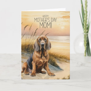 Bloedhond Hond Zonsondergang Strand Moederdag Feestdagen Kaart