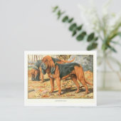Bloedhond Honden Ansichtkaart Briefkaart (Staand voorkant)