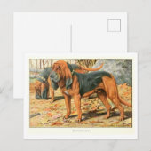 Bloedhond Honden Ansichtkaart Briefkaart (Voorkant / Achterkant)
