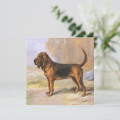 Bloedhond Kaart (Staand voorkant)