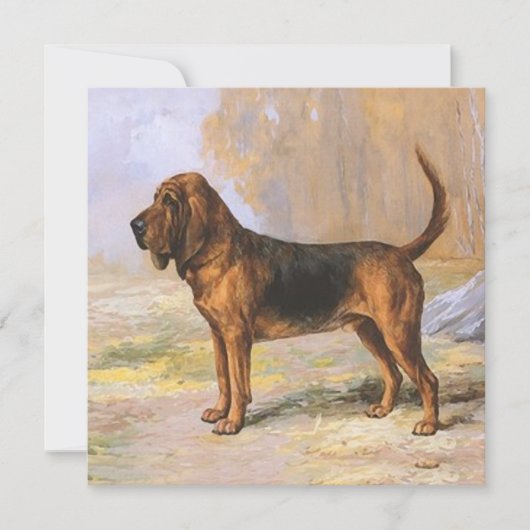 Bloedhond Kaart (Voorkant)