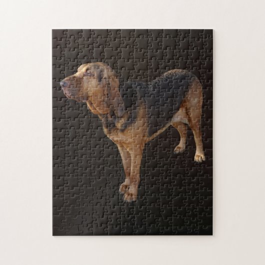bloedhond legpuzzel (Verticaal)