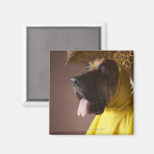 Bloedhond. Magneet (Voorkant / Achterkant)
