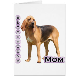 bloedhond mam 4