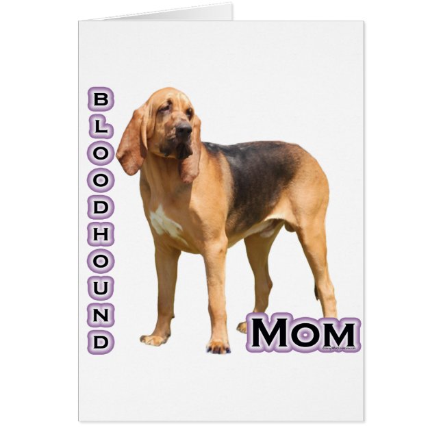bloedhond mam 4 (Voorkant)