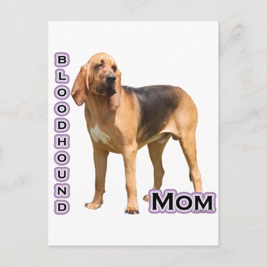 bloedhond mam 4 briefkaart (Voorkant)