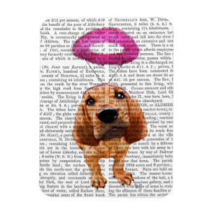 Bloedhond met Angelic Pink Halo Magneet