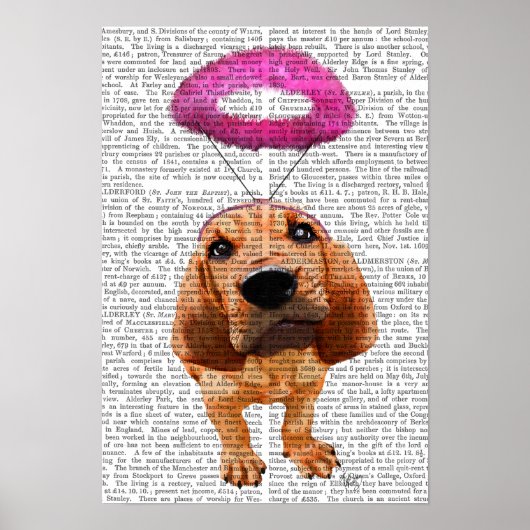 Bloedhond met Angelic Pink Halo Poster (Voorkant)