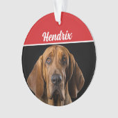 Bloedhond met naam en feestdag ornament (voorkant)