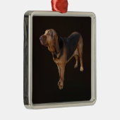 bloedhond metalen ornament (Rechts)