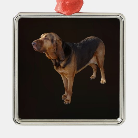 bloedhond metalen ornament (Voorkant)