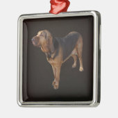 bloedhond metalen ornament (Links)