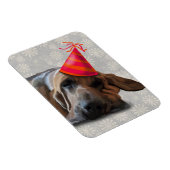 Bloedhond na de partij magneet (Rechterzijde)