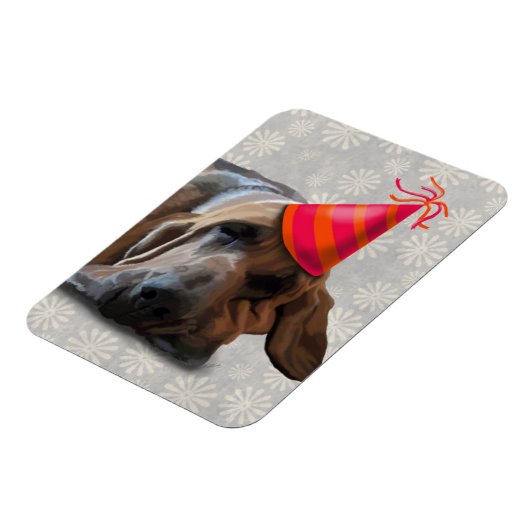 Bloedhond na de partij magneet (Linkerzijde)