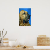 bloedhond poster (Keuken)