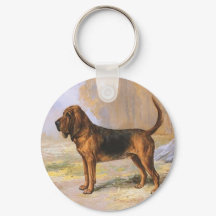 Bloedhond