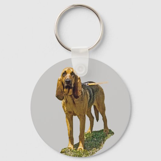 bloedhond sleutelhanger (Voorkant)