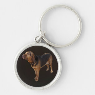 bloedhond sleutelhanger