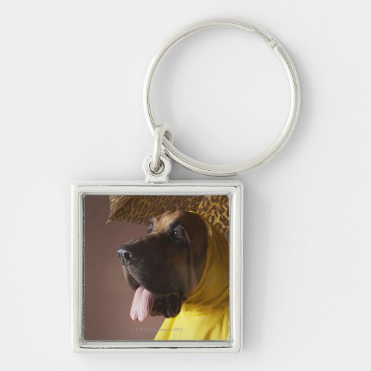 Bloedhond. Sleutelhanger (Voorkant)