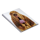 Bloedhond (St. Hubert Hound) met gesloten ogen, Notitieboek (Rechterzijde)