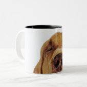 Bloedhond (St. Hubert Hound) met gesloten ogen, Tweekleurige Koffiemok (Voorkant links)