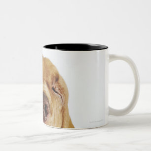 Bloedhond (St. Hubert Hound) met gesloten ogen, Tweekleurige Koffiemok