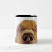 Bloedhond (St. Hubert Hound) met gesloten ogen, Tweekleurige Koffiemok (Center)