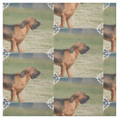 bloedhond stof (Swatch)
