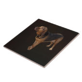 bloedhond tegeltje (Zijkant)