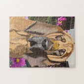 Bloedhond tegen Roze Cosmos Legpuzzel (Horizontaal)