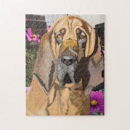 Bloedhond tegen Roze Cosmos Legpuzzel