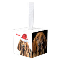 Bloedhond Twee foto kerstvakantie