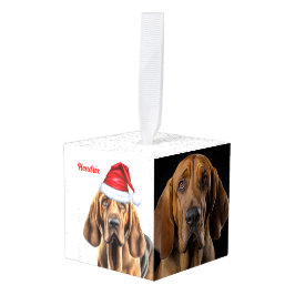 Bloedhond Twee foto kerstvakantie Decoratie