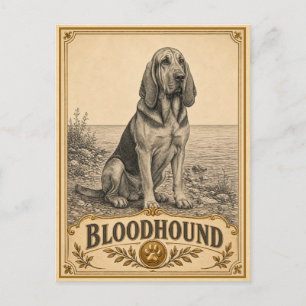 Bloedhond, Vintage Heritage Dog Briefkaart