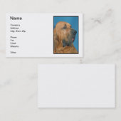 Bloedhond Visitekaartje (Voorkant / Achterkant)