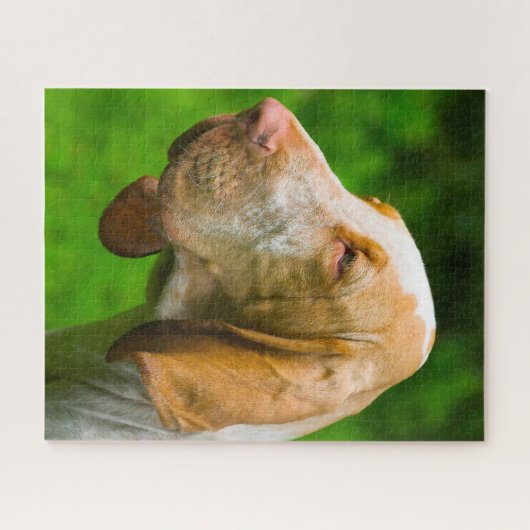 Bloedhonden Legpuzzel (Horizontaal)