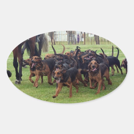 bloedhonden ovale sticker (Voorkant)