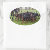 bloedhonden ovale sticker (Tas)