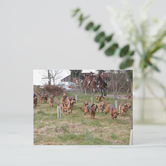 bloedhonden werken briefkaart (Staand voorkant)