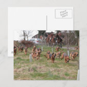 bloedhonden werken briefkaart (Voorkant / Achterkant)