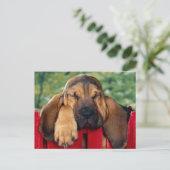 BloedHound Briefkaart (Staand voorkant)