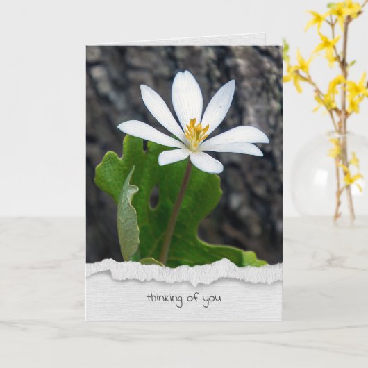 bloedige bloem denken aan jou kaart (Gele Bloem)