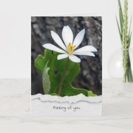 bloedige bloem denken aan jou kaart