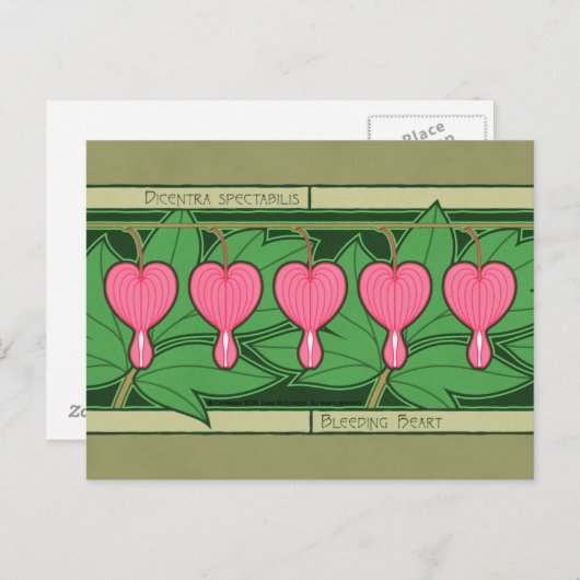 Bloeding Hartaandoeningen Briefkaart (Voorkant / Achterkant)