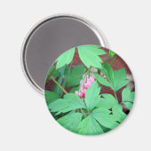 Bloeding Hartaandoeningen Magneet (Voorkant / Achterkant)