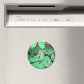 Bloeding Hartaandoeningen Magneet (Insitu (Vaatwasser))