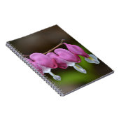 Bloeding Hartaandoeningen Notitieboek (Rechterzijde)